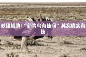 教程辅助!“新青鸟有挂吗”其实确实有挂