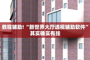 教程辅助!“新世界大厅透视辅助软件”其实确实有挂