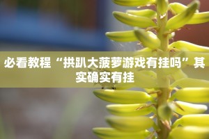 必看教程“乐乐四川麻将有没有挂”其实确实有挂