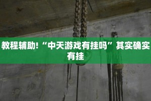 教程辅助!“中天游戏有挂吗”其实确实有挂