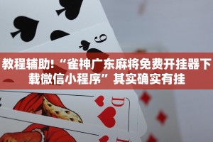 教程辅助!“微乐四川麻将小程序必赢神器”其实确实有挂