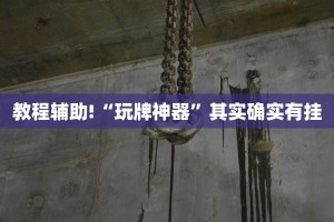 必看教程“牵手跑得快如何刷好牌”其实确实有挂