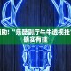 教程辅助!“乐酷副厅牛牛透视挂”其实确实有挂