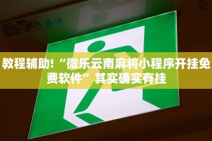 推荐一款“十三十三水有没有辅助”其实确实有挂