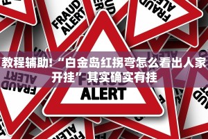 必看教程“友相逢到底有没有挂吗”其实确实有挂