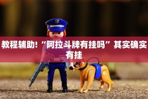 教程辅助!“阿拉斗牌有挂吗”其实确实有挂