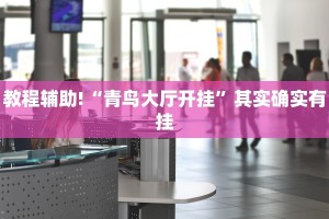 必看教程“经典罗松有挂吗”其实确实有挂