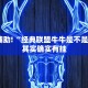 教程辅助!“闲来麻将输赢位置规律”其实确实有挂