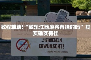 教程辅助!“微乐江西麻将有挂的吗”其实确实有挂