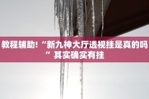 教程辅助!“皮皮湖南跑胡子可以开挂吗”其实确实有挂