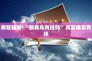 教程辅助!“永盛联盟开挂辅助软件”其实确实有挂