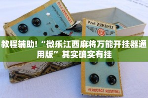 教程辅助!“新道游开挂辅助软件”其实确实有挂