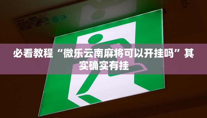 教程辅助!“小宝跑得快可以开挂吗”其实确实有挂