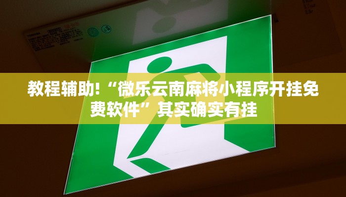 推荐一款“十三十三水有没有辅助”其实确实有挂