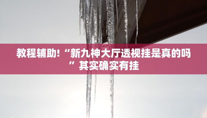 教程辅助!“皮皮湖南跑胡子可以开挂吗”其实确实有挂