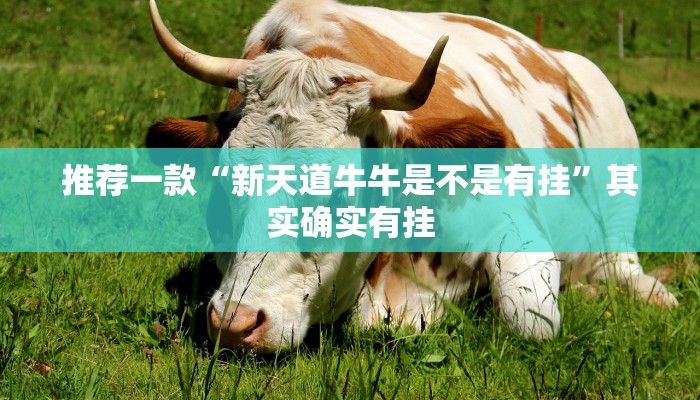 教程辅助!“三哥玩摆头注怎么拿好牌”其实确实有挂