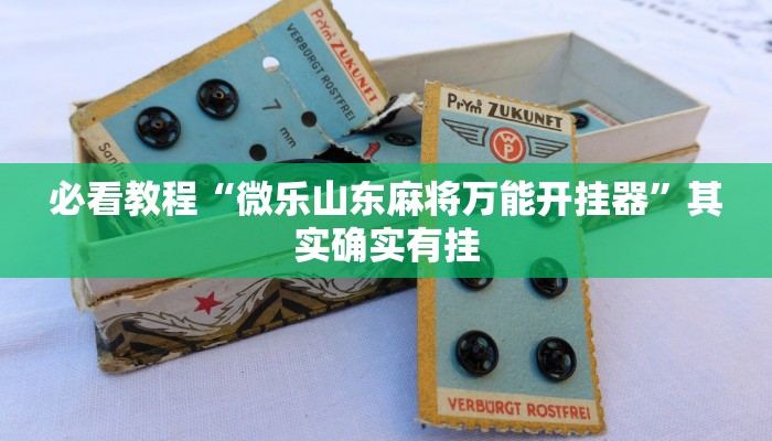 必看教程“微乐山东麻将万能开挂器”其实确实有挂