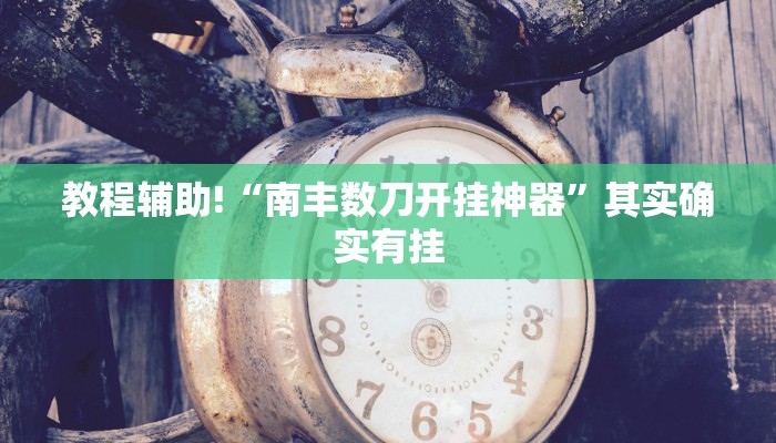 教程辅助!“微乐内蒙麻将开挂免费下载安装”其实确实有挂