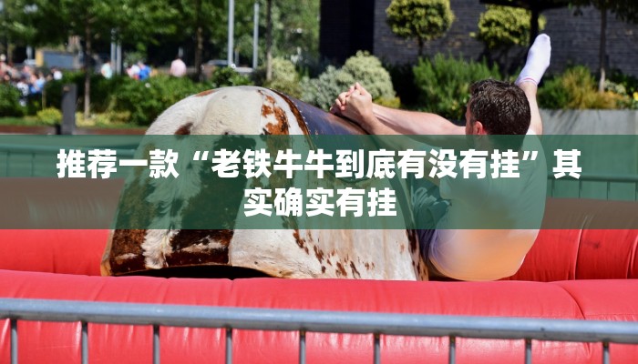 必看教程“贵阳麻将的打法和技巧”其实确实有挂