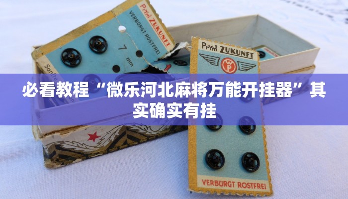 教程辅助!“山水麻将有没有挂”其实确实有挂