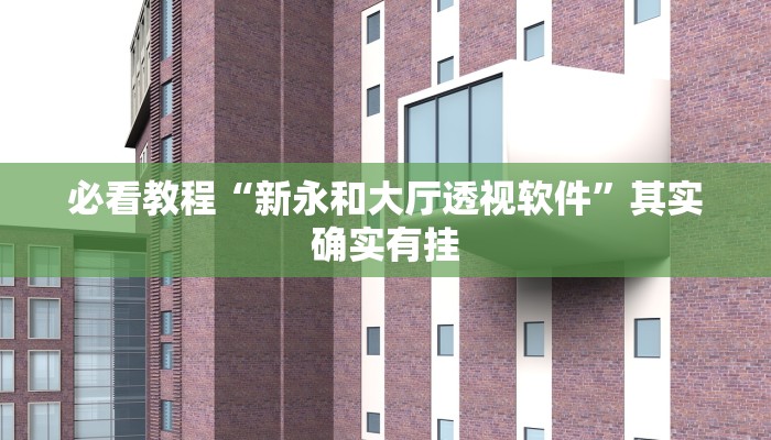 必看教程“新永和大厅透视软件”其实确实有挂
