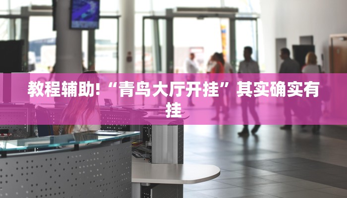 教程辅助!“浙江游戏大厅辅助器随意选牌”其实确实有挂