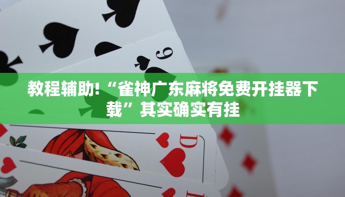 教程辅助!“桂麻圈有挂吗”其实确实有挂