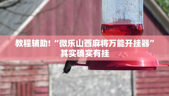 教程辅助!“wepoker作弊开挂方法--原来有挂”其实确实有挂