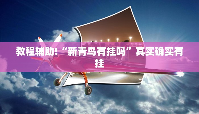 教程辅助!“新青鸟有挂吗”其实确实有挂