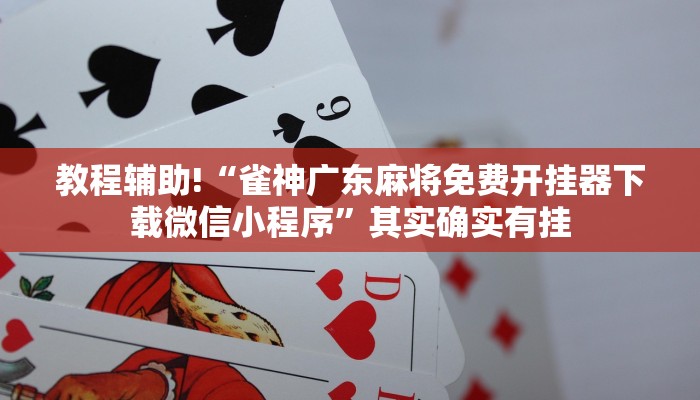 教程辅助!“微乐四川麻将小程序必赢神器”其实确实有挂