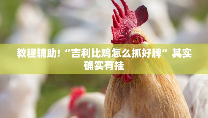 教程辅助!“吉利比鸡怎么抓好牌”其实确实有挂