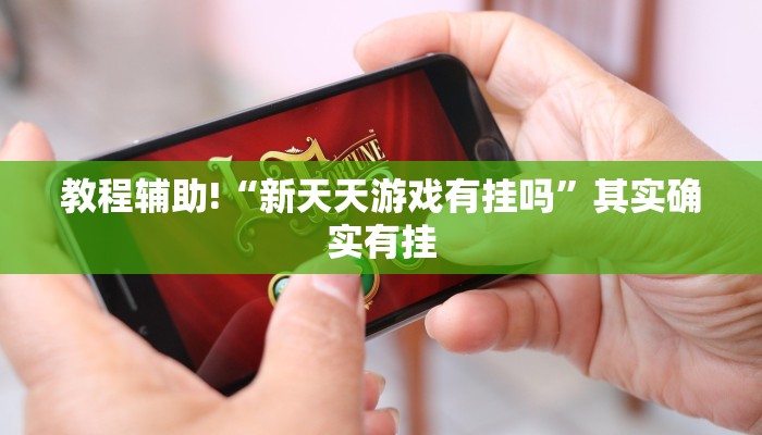 教程辅助!“新天天游戏有挂吗”其实确实有挂
