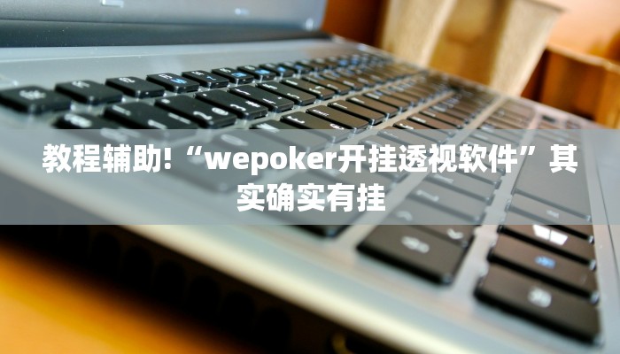教程辅助!“wepoker开挂透视软件”其实确实有挂
