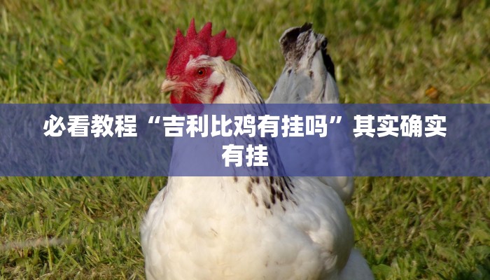 必看教程“吉利比鸡有挂吗”其实确实有挂