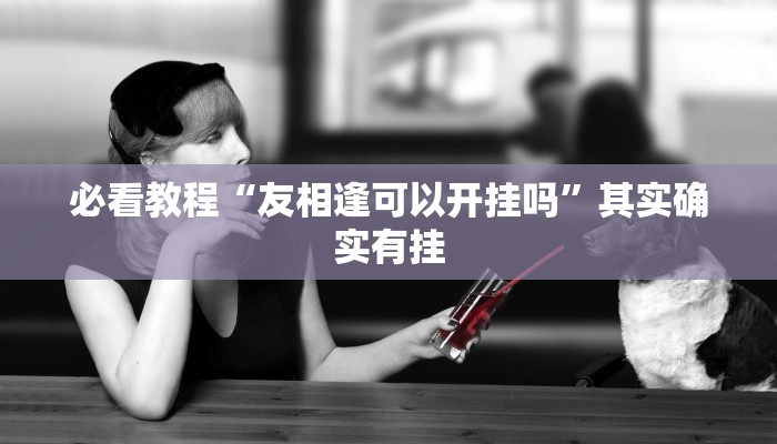 必看教程“友相逢可以开挂吗”其实确实有挂