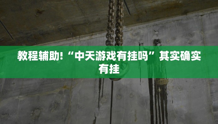 教程辅助!“中天游戏有挂吗”其实确实有挂